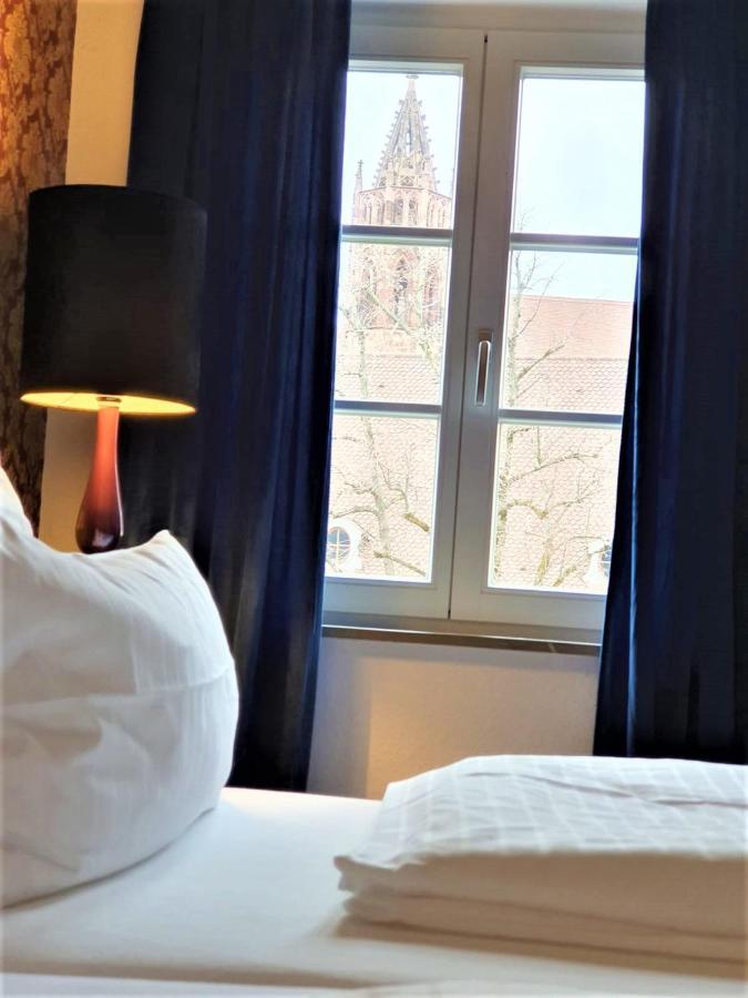 Luxus Apartment Ludwigxv Freiburg im Breisgau Kültér fotó
