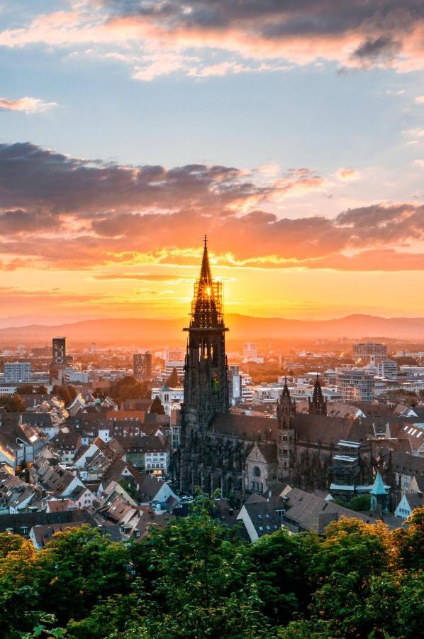 Luxus Apartment Ludwigxv Freiburg im Breisgau Kültér fotó